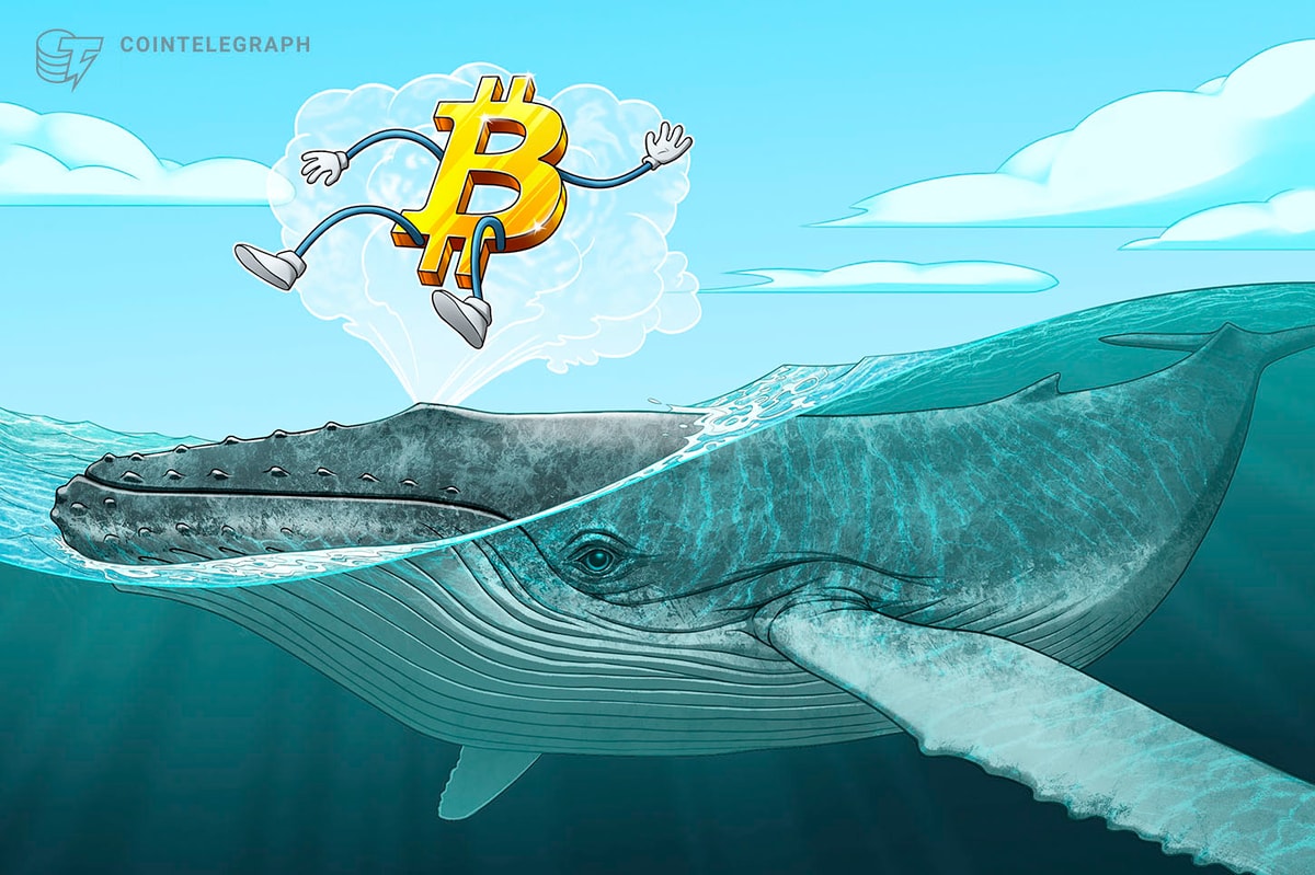 Bitcoin grabs $106K liquidity as whale longs BTC with $255M
