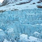 Midnight Network Unveils NIGHT Tokenomics, 'Glacier Drop' Airdrop Mechanism