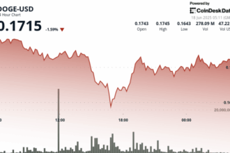 Dogecoin Zips Down 7% Amid Low Risk-On Sentiment