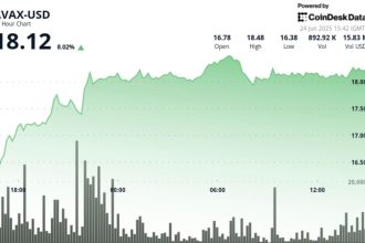 AVAX Gains 8%, but Faces Short-Term Resistance