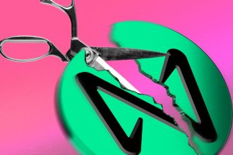 Near blockchain stakeholders split on 50% cut to staking rewards