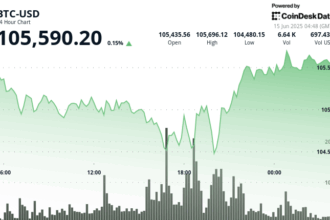 Owning One Bitcoin Is the New American Dream, Says Bitwise Portfolio Manager