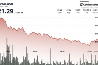 AVAX Rebounds From Key Support After 6% Plunge