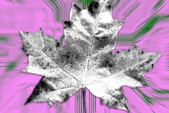 How Maple Finance made a comeback to reach $1m monthly revenue