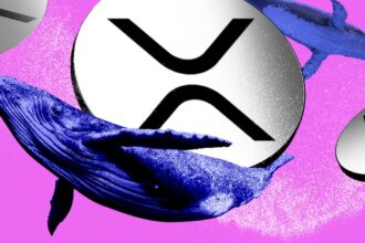 How XRP whales are cashing out $68m profits per day