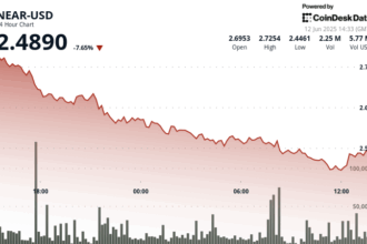 NEAR Protocol Plunges 9% as Volatility Spikes Despite User Growth