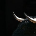 Taurus Releases Open Source Privacy Tech for Stablecoins, Starts With Circle's USDC