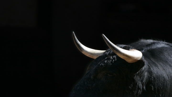 Taurus Releases Open Source Privacy Tech for Stablecoins, Starts With Circle's USDC