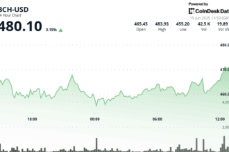 Bitcoin Cash Jumps to $480 as 24-Hour Trading Volume Spikes 22% Above Average