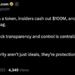 Meme Coin Mayhem: After the Great Wipeout, What’s Next for Meme Coins?