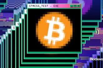 How Bitcoin survived a DoS attack now worth $24M