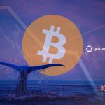 Bitcoin Whale Sells 80000 BTC Worth $9 Billion