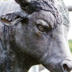 Crypto Exchange Bullish Teams Up With Solana for Institutional Stablecoin Push