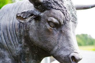 Crypto Exchange Bullish Teams Up With Solana for Institutional Stablecoin Push
