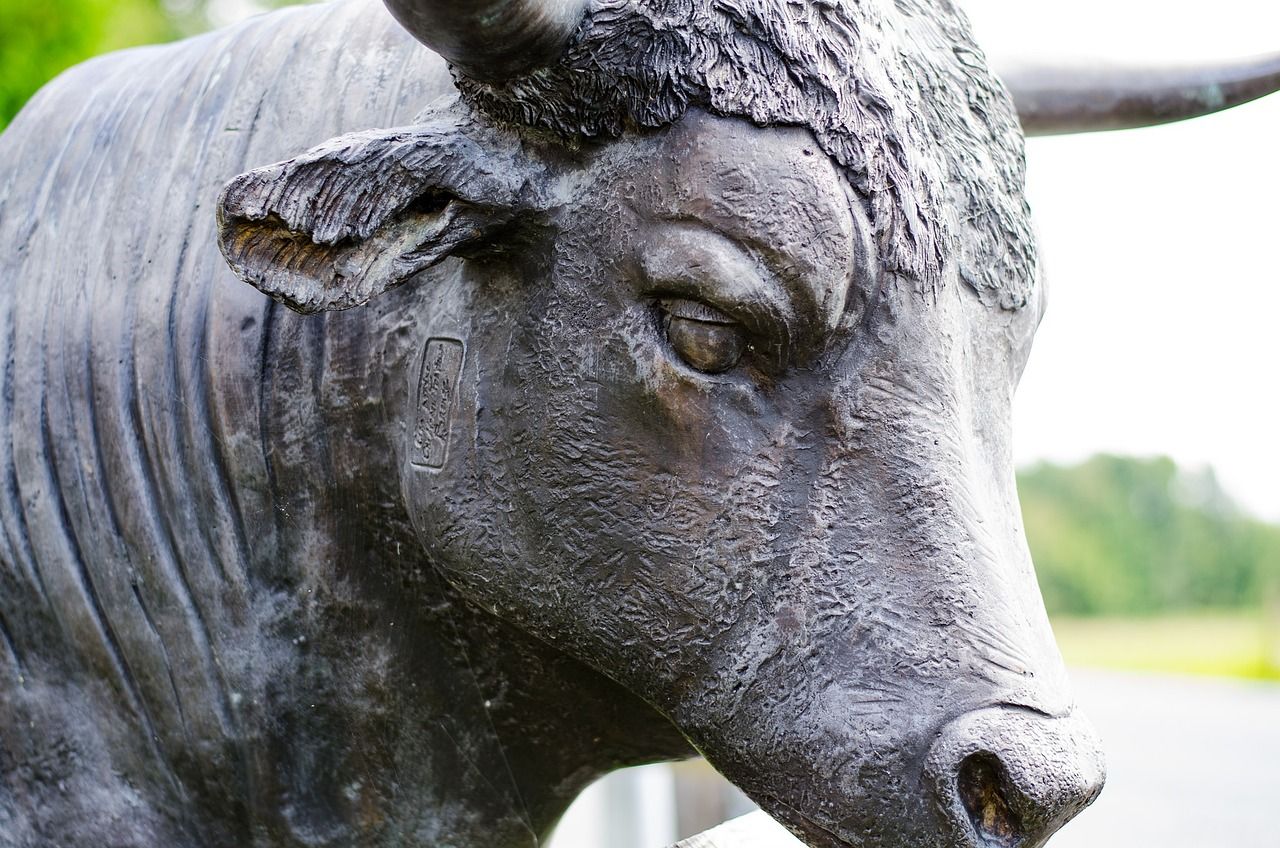 Crypto Exchange Bullish Teams Up With Solana for Institutional Stablecoin Push