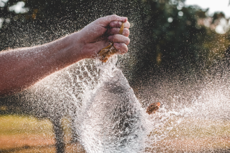 Dogecoin Pops 6% to Lead Majors Gains as Bitcoin Nears $110K on Fresh Rate-Cut Optimism