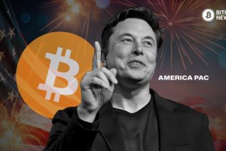 Elon Musk Launches ‘America Party’