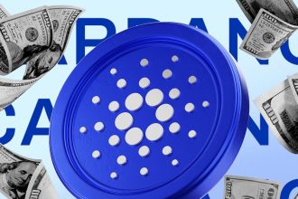Cardano Foundation spent $15m to get people to use the blockchain last year, financial report shows