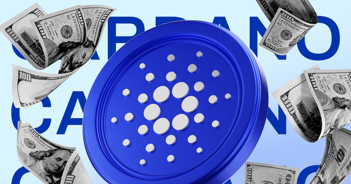 Cardano Foundation spent $15m to get people to use the blockchain last year, financial report shows