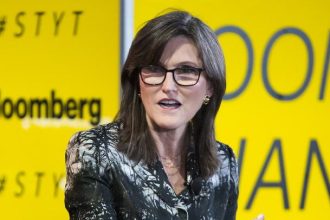 Cathie Wood's ARK: Bitcoin's Bullish Momentum Slows as Long-Term Holder Stacks Hit Record