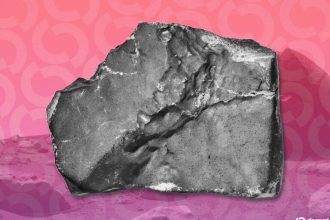 You Can Buy a Martian Meteorite With Bitcoin—If You Have Upwards of $4 Million