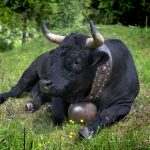 Crypto Treasuries Expand as Public Companies Make Bold Monday Moves