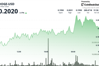 DOGE Rally Stalls at 20-Cents, But Large Holder Activity Flashes Bullish Signs