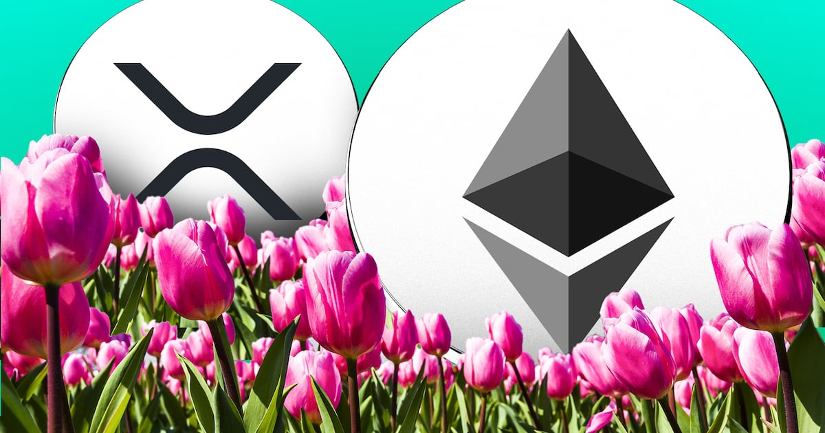 Altcoin rallies will remain ‘short-lived’ for now, says analysts